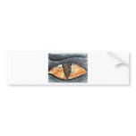 Burning Gaze Bumper Stickers