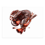 Burning Heart postcard