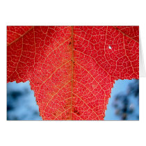 Burning Leaf cards