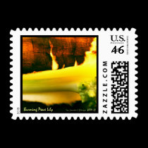 Burning Peace - Postage postage