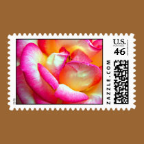 Burnt Edge Rose stamps