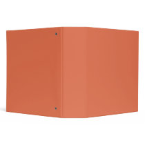 Burnt Sienna Binders