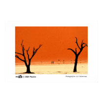 Burnt Trees - Photo of the Year Finalist posters