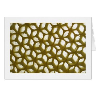 Burr Honeycomb Greeting Cards by alberthartley