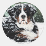 Burr Sticker
