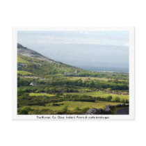 Burren, Kilfenora Co. Clare,  Ireland farmhouses Postcard