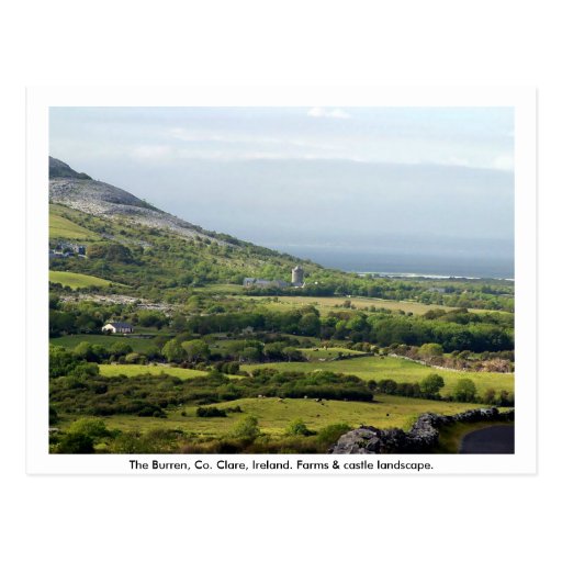 Clare, Ireland, farmhouses & fields in Kilfenora Postcard Zazzle