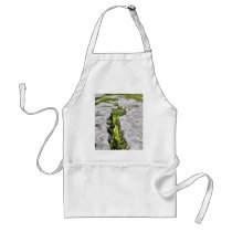 Burren Plants Limestone Rocks Apron