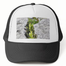 Burren Plants Limestone Rocks Trucker Hat