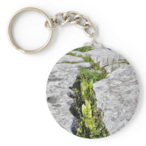 Burren Plants Limestone Rocks Keychain
