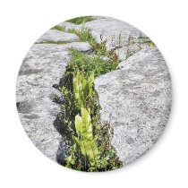 Burren Plants Limestone Rocks Refrigerator Magnets