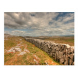 Burren Stone Wall Post Cards