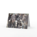 Burro Greeting Card
