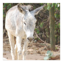 Burro gris invitaciones personales 