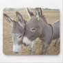 Burro Love Mousepad