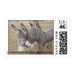 Burro Love Stamp