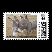 Burro Love stamps