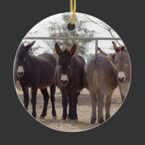 Burros Ornament ornaments