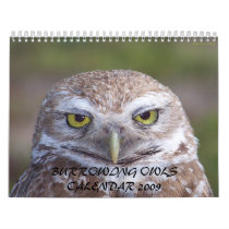 BURROWING OWLS CALENDAR 2009 by ginatheloca BURROWING OWLS CALENDAR 2009