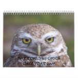 BURROWING OWLS CALENDAR 2009