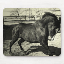 "Burst Forth" Horse Mousepad mousepads