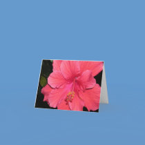 "Burst of Floral"  blank notecards cards