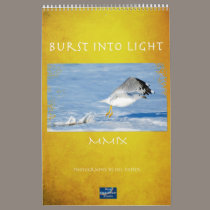 Burst of Light calendars