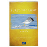 Burst of Light Calendars