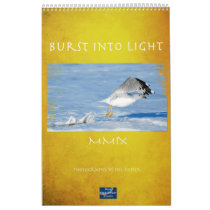 Burst of Light Calendars