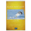 Burst of Light calendars by basilfox Burst of Light calendars