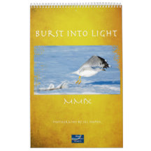 Burst of Light Calendars