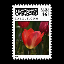 Burst Of Red postage by kokobaby Burst Of Red postage