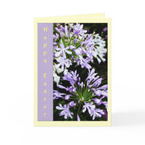 Burst of Spring cards