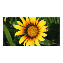 Burst of Sun Personalized Photo Card