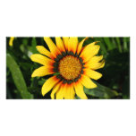 Burst of Sun Personalized Photo Card