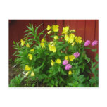 burst of yellow, touch of pink post card