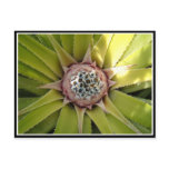 Burst Post Card