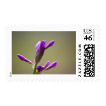 Bursting Out Postage Stamp