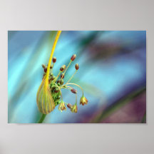 Bursting Posters