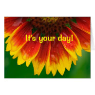 Bursting with Wishes Sunflower Birthday Card