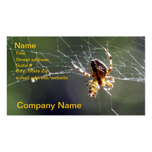 Bus. Card - Spider on Web Business Cards
