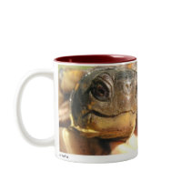 Bush 02 coffee mug