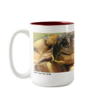 Bush 02 mugs
