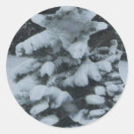 Bush Abstract Sticker