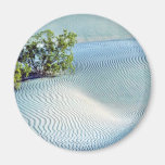 Bush And Rippled Sand, Big Dunes Refrigerator Magnets