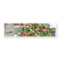 Bush Branch With Red Berries bumper stickers