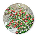 Bush Branch With Red Berries magnets