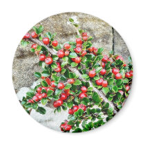 Bush Branch With Red Berries magnets