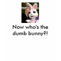 Bush_Bunny, Now who's the dumb bunny?! t-shirts by flight62 Bush_Bunny, Now who's the dumb bunny?! t-shirts