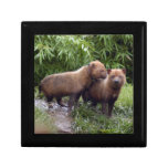 bush-dog-b-1 trinket box